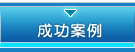 成功案例